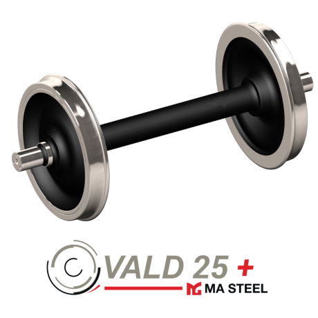 VALD25+ wheelset with painting